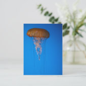 Oranje kwallen briefkaart (Staand voorkant)