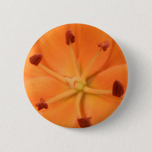 Oranje lelie bloemknop ronde button 5,7 cm