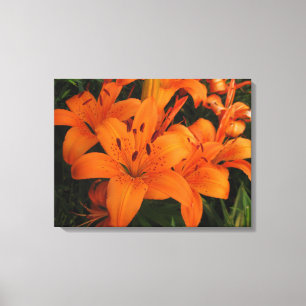 Oranje lelies gewikkeld doek canvas afdruk