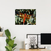 Oranje libellen met open vleugels poster (Thuiskantoor)