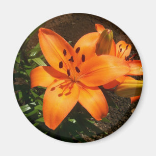 Oranje Lilies Magnet Magneet