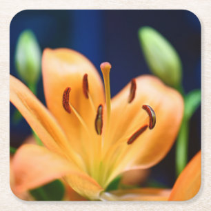 Oranje Lilly Flower Blossom Vierkante Kartonnen Onderzetter