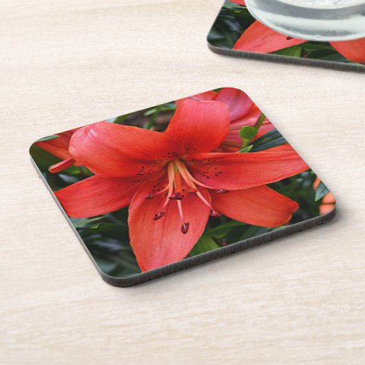 Oranje Lily Bloom Floral Bier Onderzetter (Linkerzijde)