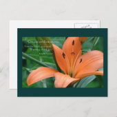 Oranje Lily Briefkaart (Voorkant / Achterkant)