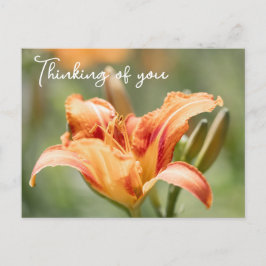 Oranje Lily denkt aan jou Briefkaart