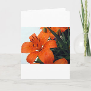 Oranje LIly Feestdagen Kaart