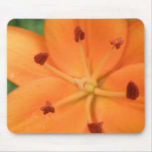 Oranje Lily Floral Mousepad Muismat