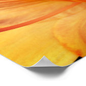 Oranje Lily Flower Sluiten Poster (Hoek)