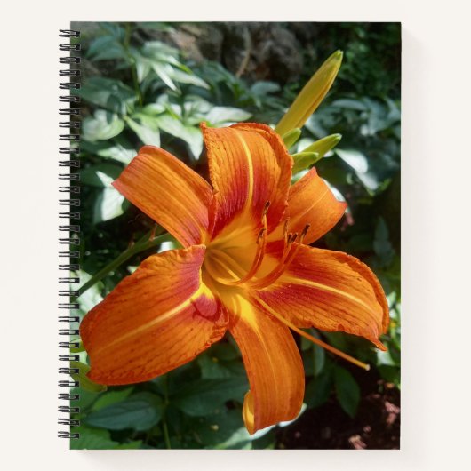 Oranje Lily Green laat een bloem fotojournaal Notitieboek (Voorkant)