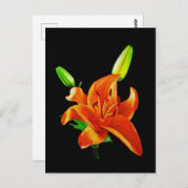 Oranje Lily op zwart Briefkaart (Voorkant / Achterkant)