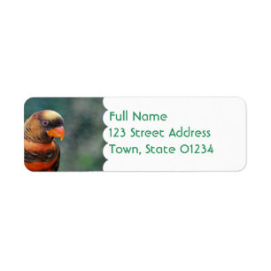 Oranje Loriket Mailing Labels