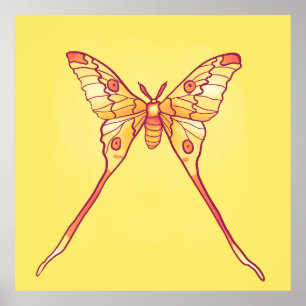 Oranje Luna Moth Art – Kleurrijk Insect Poster