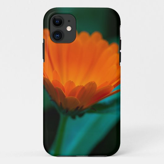 Oranje madeliefbloem Case-Mate iPhone case (Achterkant)