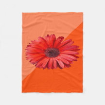 Oranje Madeliefjes Kleurblok
