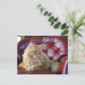 Oranje Maine Coon Cat Briefkaart (Staand voorkant)