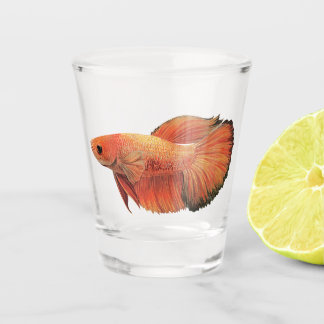 Oranje mannelijke betta illustratie shot glas