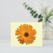 Oranje Marigold Briefkaart (Staand voorkant)