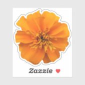 Oranje marigold Flower Countour Sticker (Vel)
