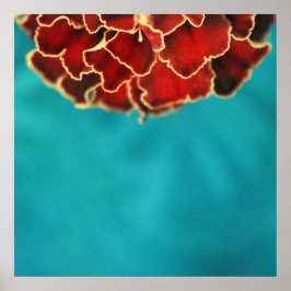 Oranje Marigold Flower Petal Macro Abstract Poster