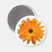 Oranje Marigold Magneet (Voorkant / Achterkant)