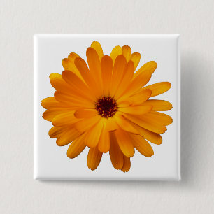 Oranje Marigold Vierkante Button 5,1 Cm
