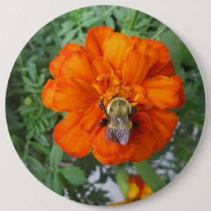 Oranje mestkalveren ronde button 6,0 cm