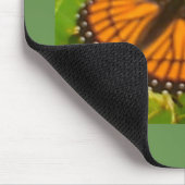 Oranje monarch muismat (Hoek)