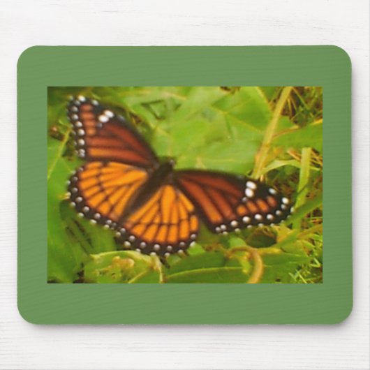 Oranje monarch muismat (Voorkant)