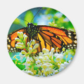 Oranje monarch vlinder foto vet modern stijlvol magneet (Voorkant)