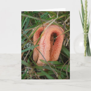 Oranje Mushroom OBX Notecard Feestdagen Kaart