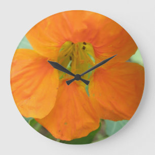Oranje Nasturtiumventiel Grote Klok