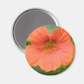 Oranje Nasturtiumventilator Magnet Magneet (Voorkant / Achterkant)