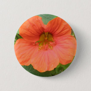 Oranje NasturtiumventilatorButton Ronde Button 5,7 Cm