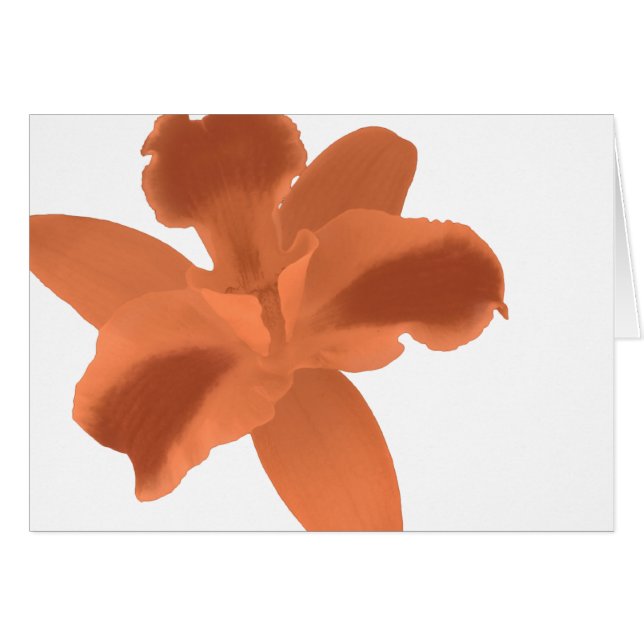 Oranje Orchid Card (Voorkant Horizontaal)