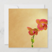 Oranje Orchideeën bruiloft bruids douche uitnodigi Kaart (Achterkant)