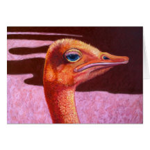 Oranje Ostrich