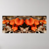 Oranje paddenstoel familie spiegel Abstract Poster (Voorkant)