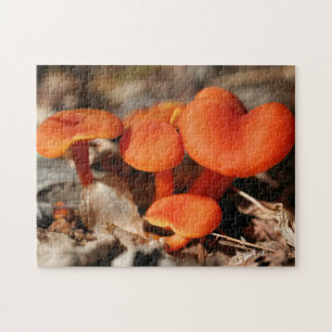 Oranje Paddenstoelen Familie Natuur   Legpuzzel