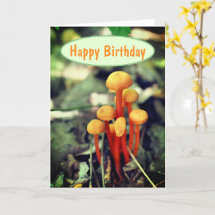 Oranje paddenstoelen Natuur Birthday Kaart