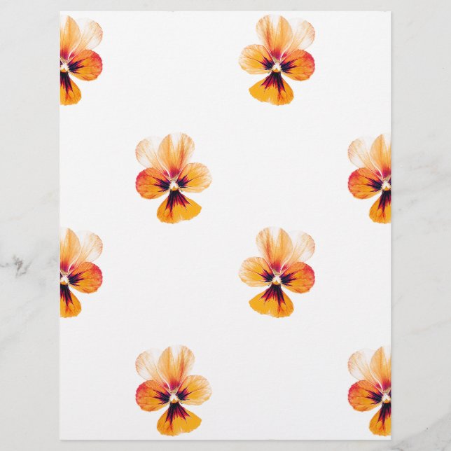 oranje paniekjes (Voorkant)