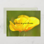 Oranje papaver briefkaart (Voorkant / Achterkant)