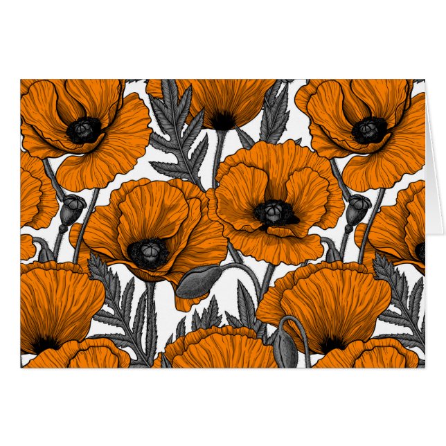 Oranje papaver op wit (Voorkant Horizontaal)