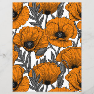 Oranje papaver op wit