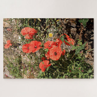 Oranje papaver van El Camino Legpuzzel