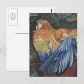 oranje papegaaien briefkaart (Voorkant / Achterkant)