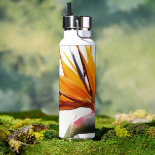 Oranje paradijsvogel Plant op wit Waterfles