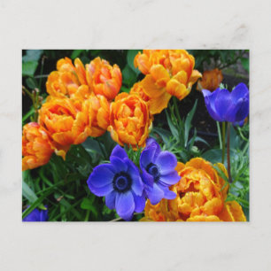 Oranje Peony Tulips & Blue Anemones DIY Briefkaart