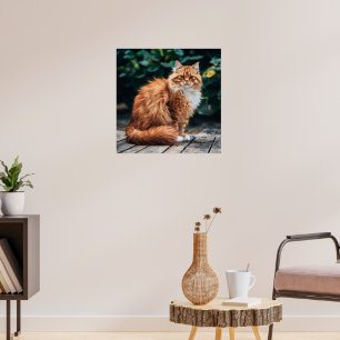 Oranje Perzische kat Poster