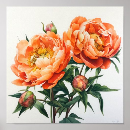 Oranje Pioenrozen Bloemen Art Print Poster (Voorkant)