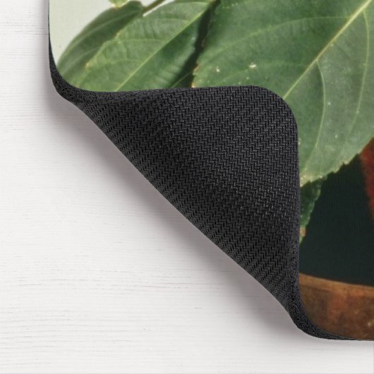 Oranje Planten van Acalypha Hispida Chenille Muismat (Hoek)